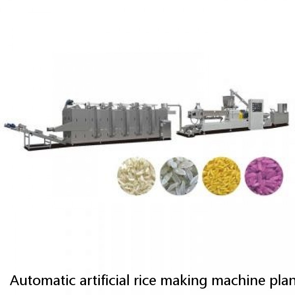 Automatic artificial rice making machine plant