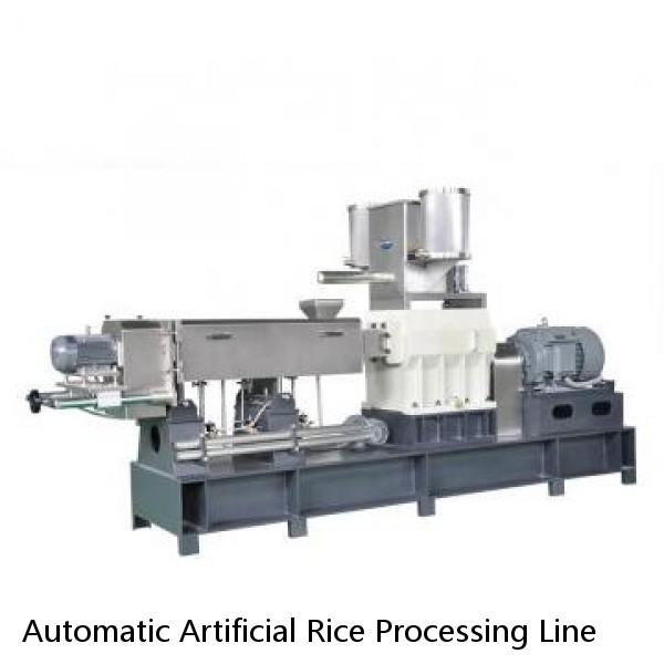 Automatic Artificial Rice Processing Line