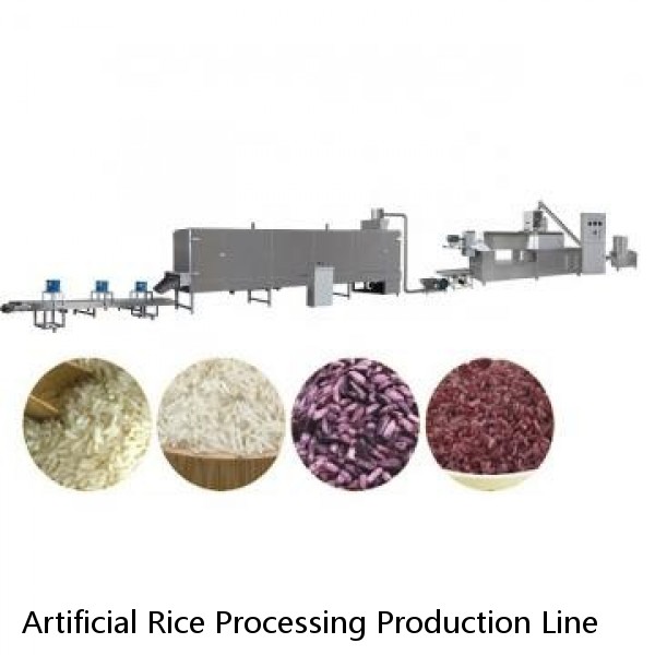 Artificial Rice Processing Production Line